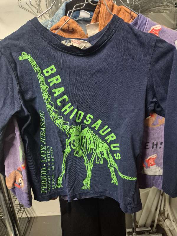 Brachiosaurus bolur