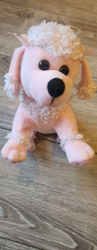 Bangsi bleikur hundur