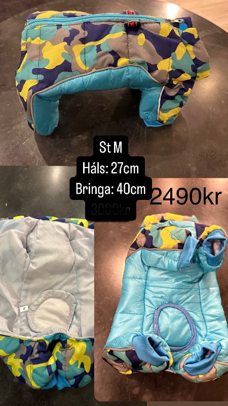 Snjógalli marglitur