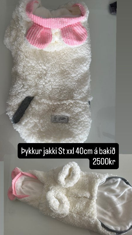 Þykkur hvítur jakki eyrum