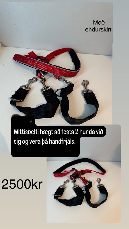 Rautt mittis belti fyrir 2 hunda