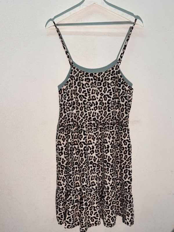 Skokkur leopard