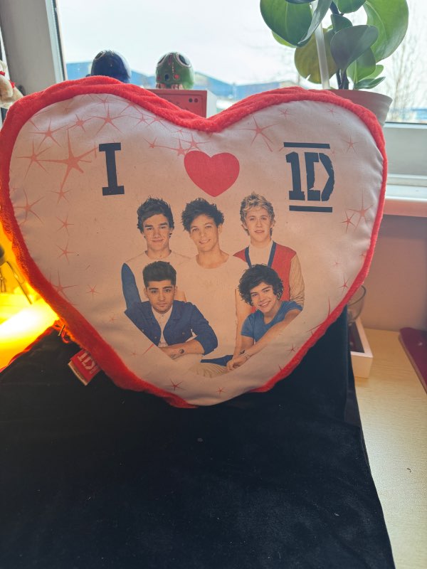 One Direction púði