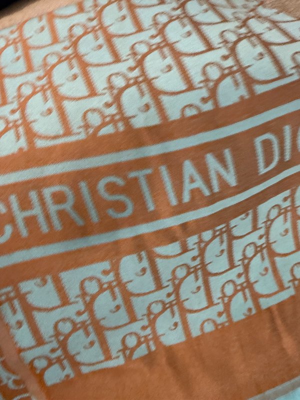 CDIOR scarf