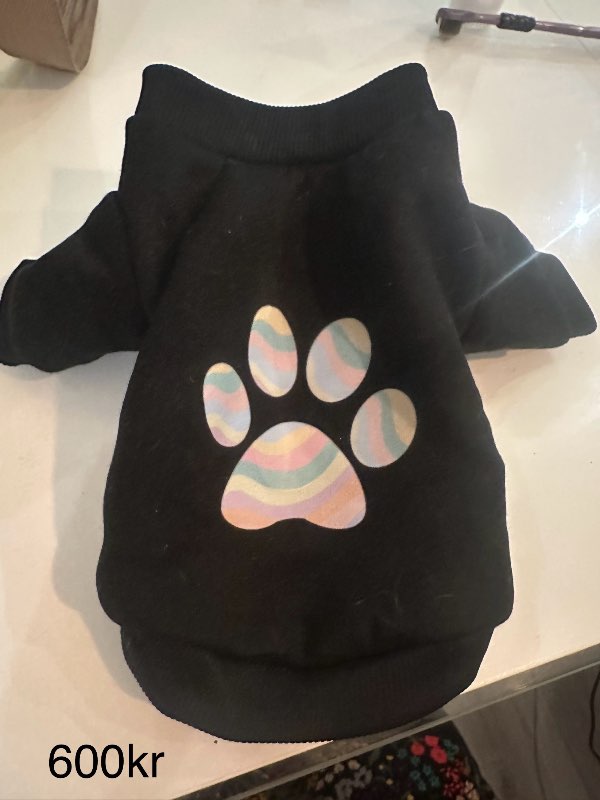 Svört peysa lítil loppa