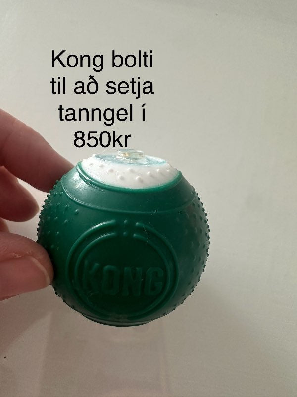 Kong tanngels bolti S