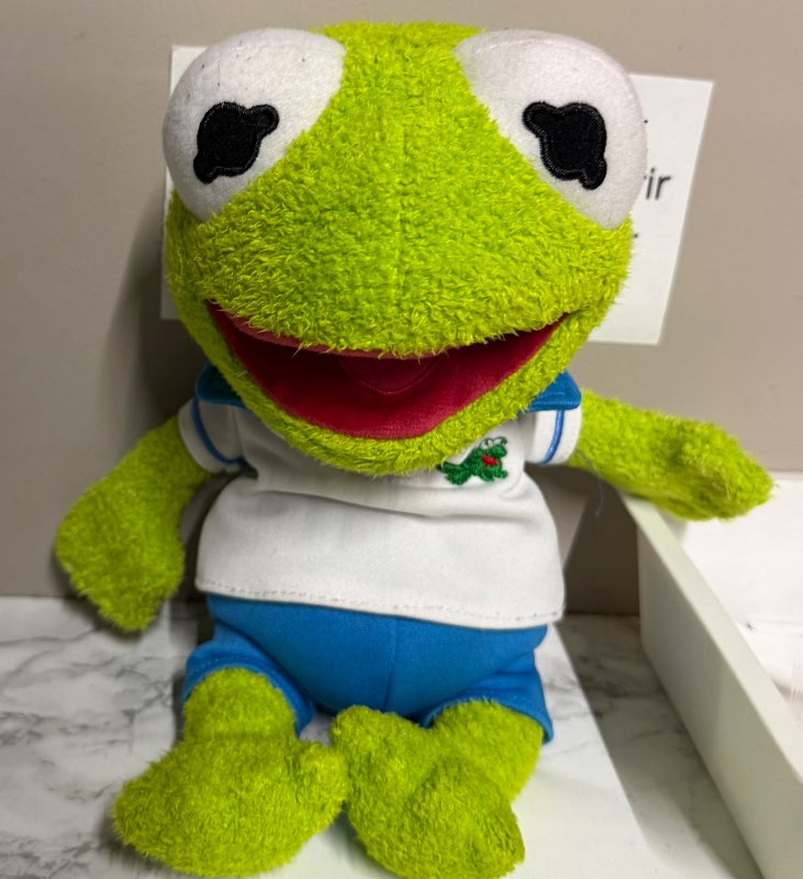 Kermit bangsi