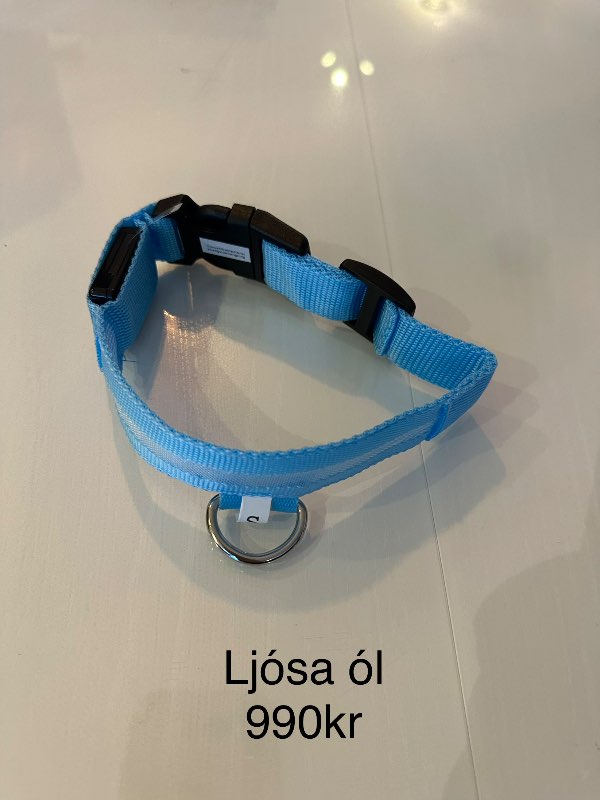 Blá ljósaól hunda S