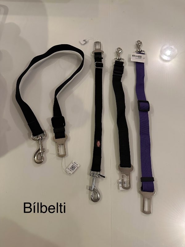 Bílbelti gæludýra