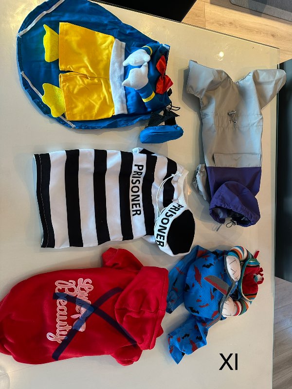 Hunda búningur með skæri XL