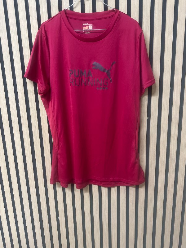 Puma bolur