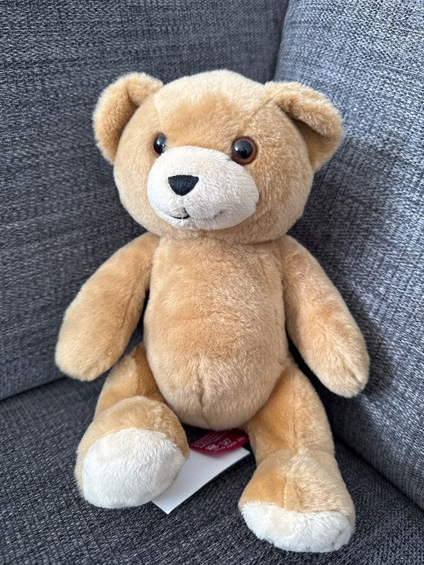 Teddy bear