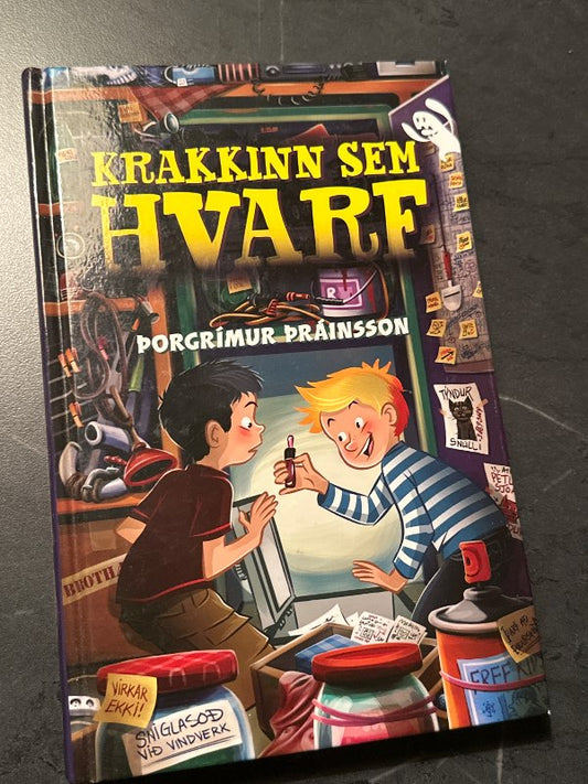 Bók Krakkinn sem fór