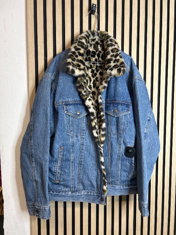 Levis gallajakki