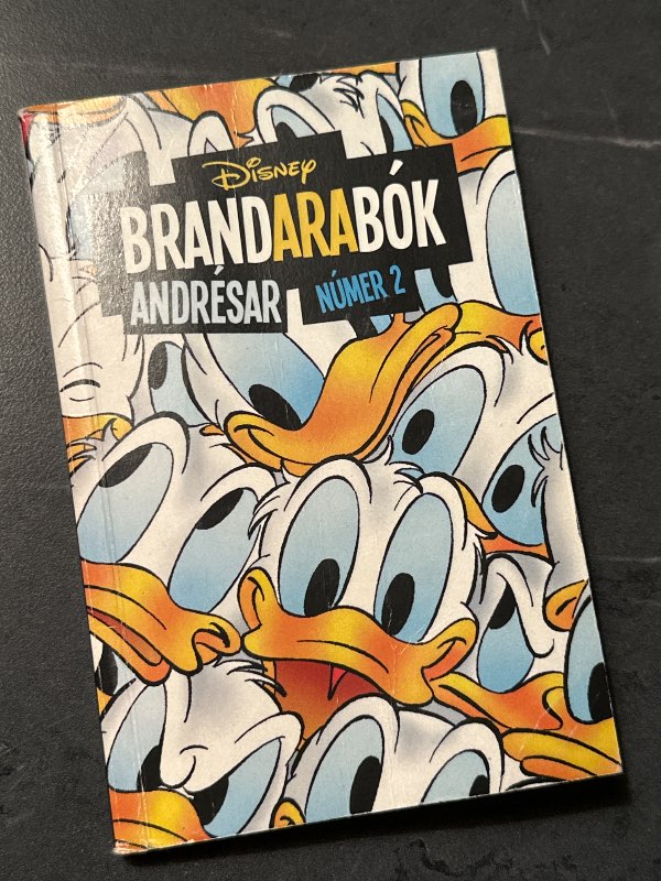 Syrpa Brandarabók