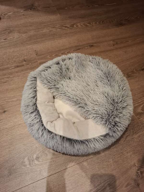 Bæli lítið