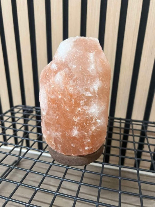 Saltsteinsstytta