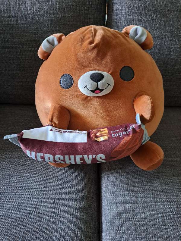 Squizzy bangsi brúnn miðstærð