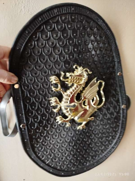 Öskudags Protec sheild