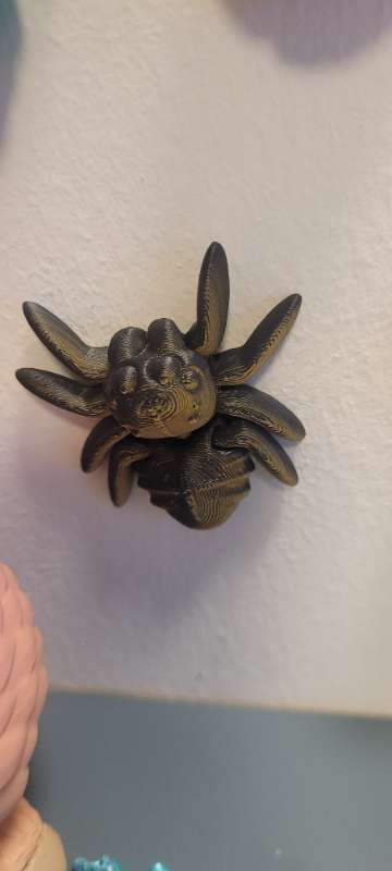 3d prent kónguló