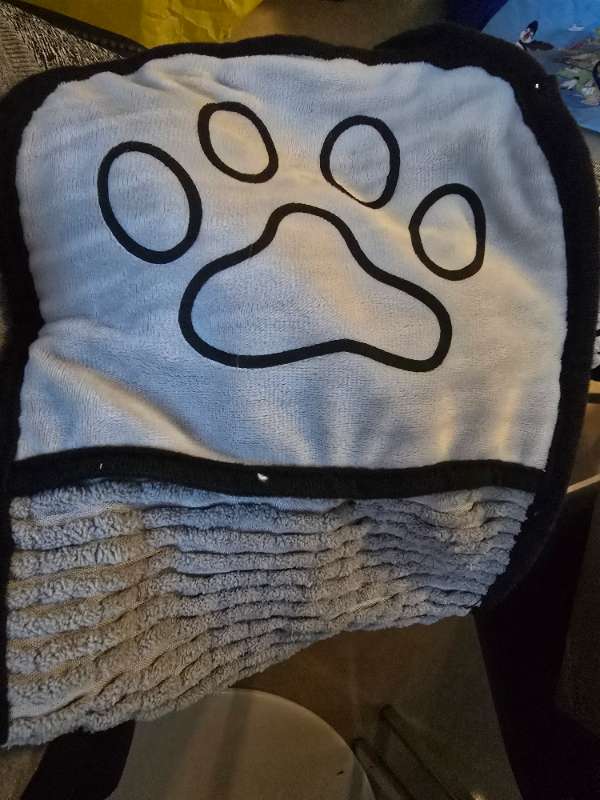 Hunda handklæði minna