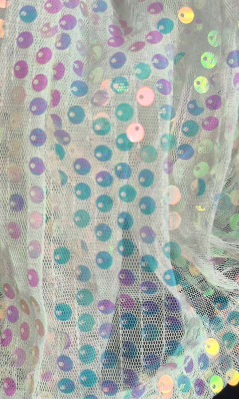 1pcs  Sequin Curtain