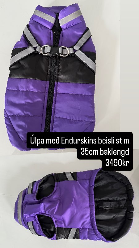Fjólublá endurskins úlpa M