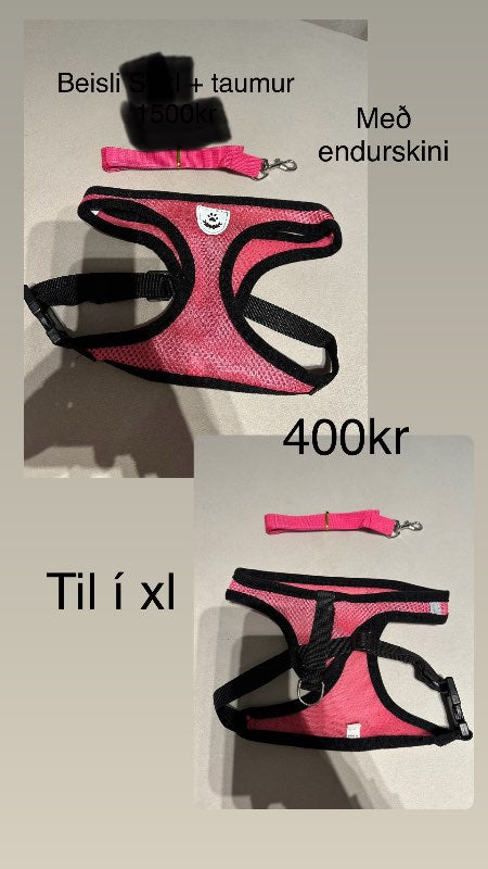 Bleikt beisli + taumur