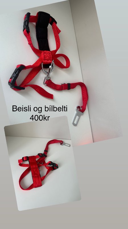 Rautt beisli og bílbelti