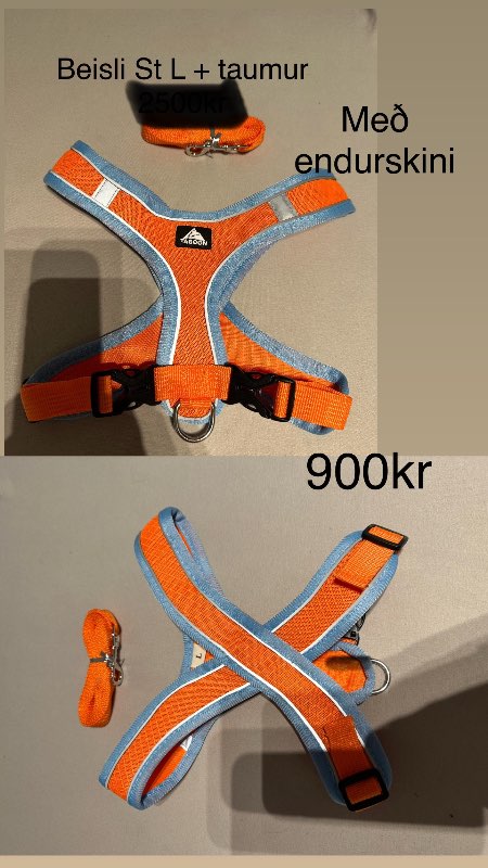 Appelsínugult beisli+taumur L