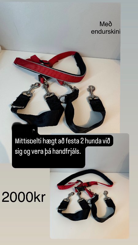 Mittisbelti fyrir 2 hunda
