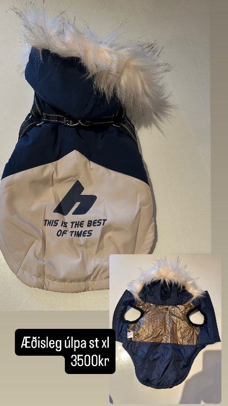 úlpa m.loð og beisli blá+ljós