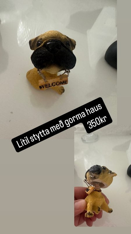 Welcome hundastytta lítil