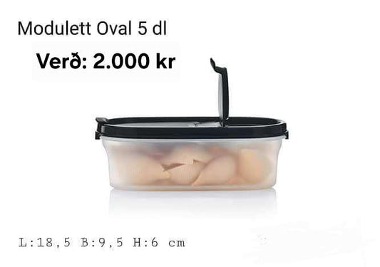 Modulett box