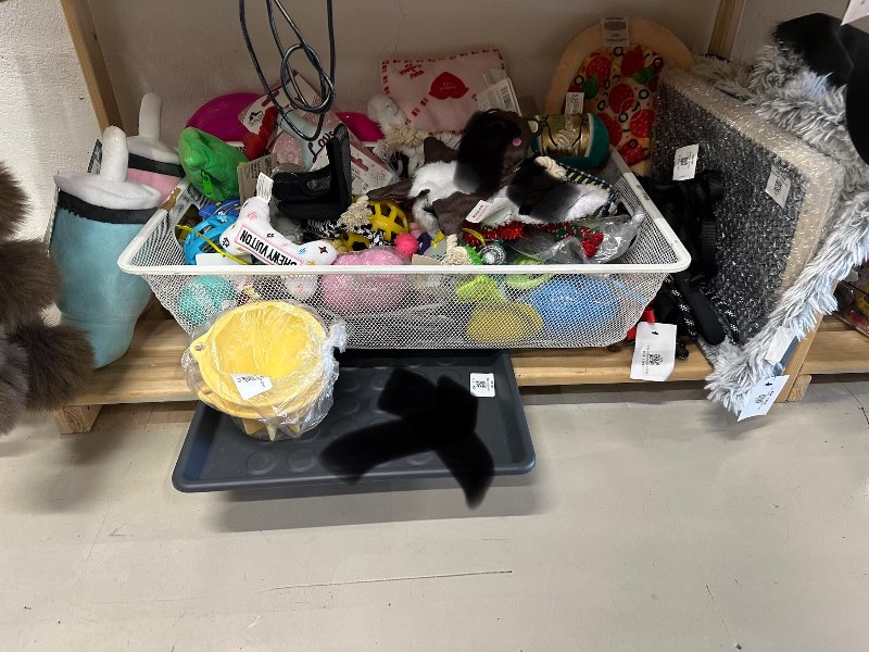 Ástar bréf leikfang