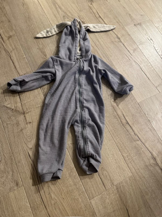 Kanínu heilgalli