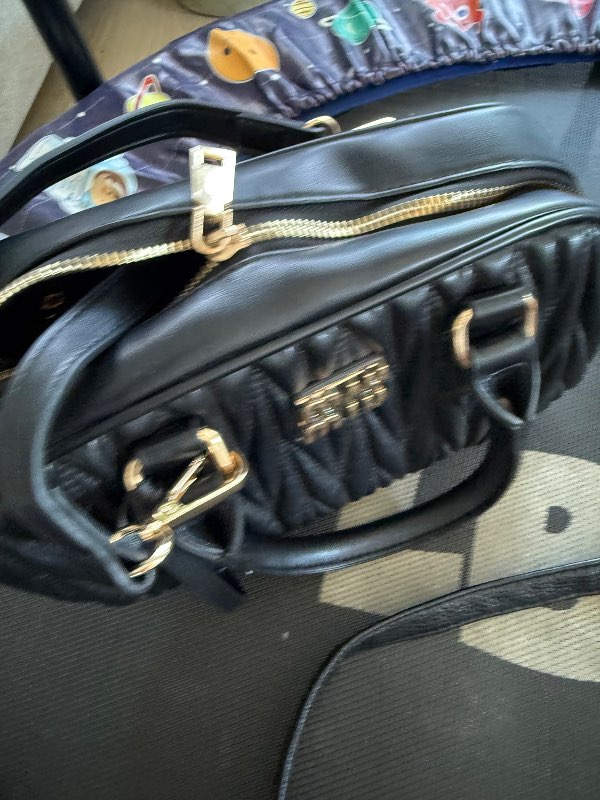 Miu Miu bag