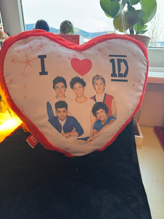 One Direction púði