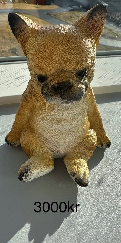 Ljós hundastytta sitjandi