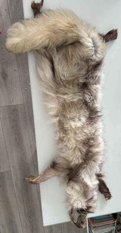 Ekta skinn