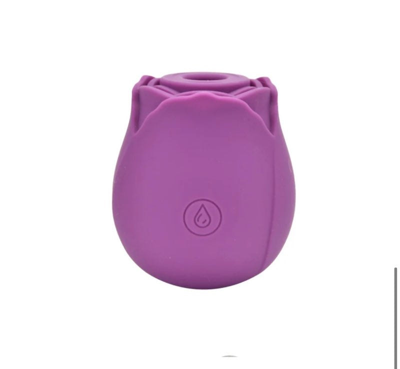 Clitoral Suction Vibrator