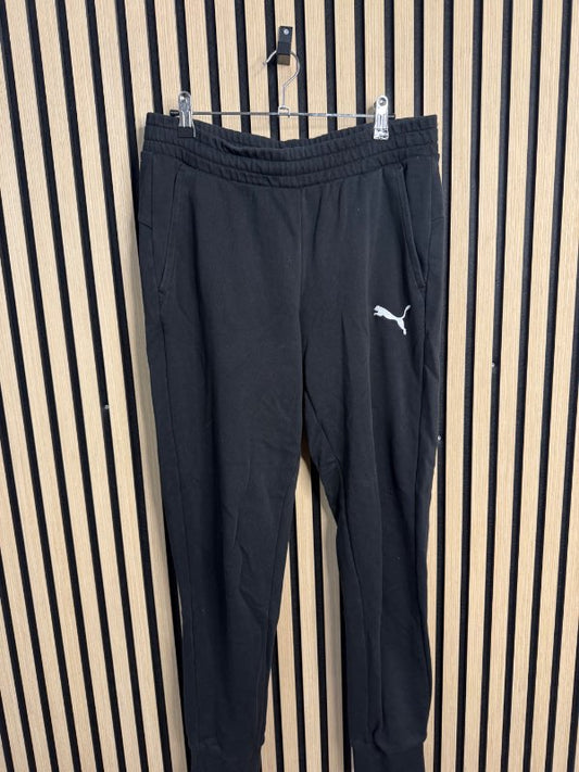 Buxur-puma