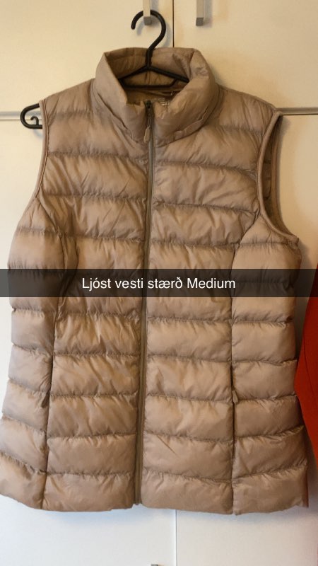 Ljóst vesti