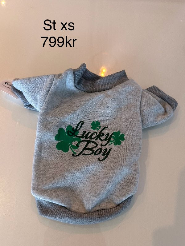 Lucky Boy peysa grá