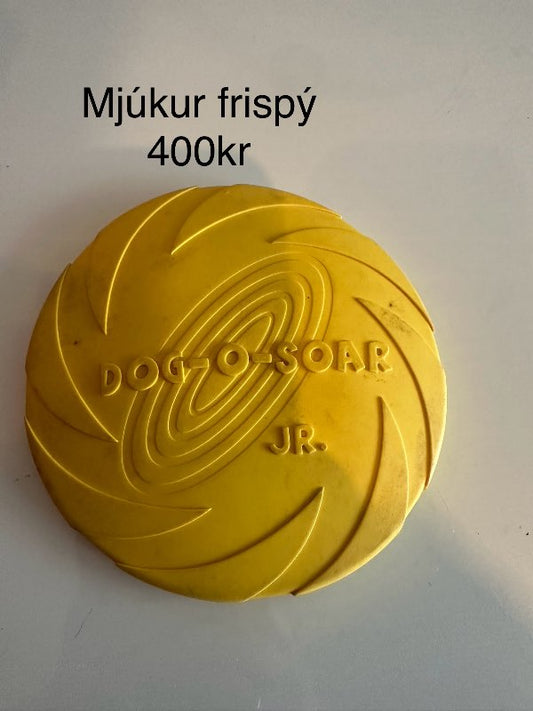 Gulur frispý hunda