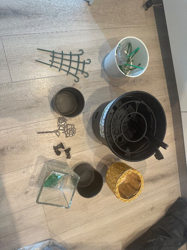 Glær vasi/blóma pottur