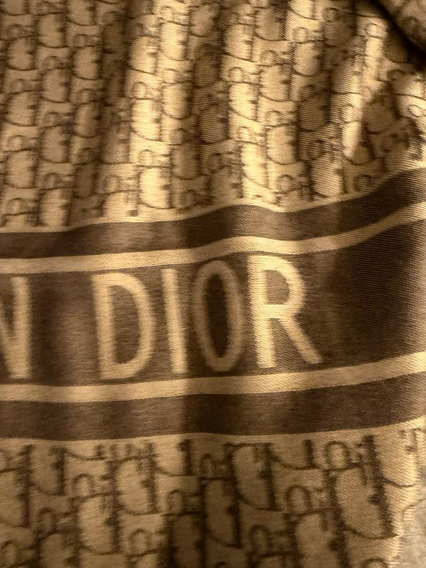 Dior scarf