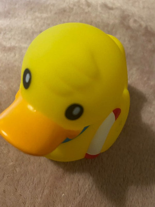 Ný bað önd