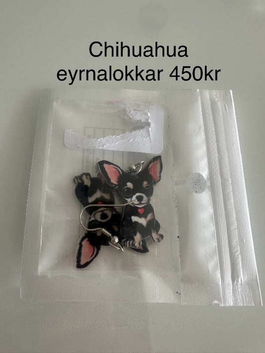 Chihuahua eyrnalokkar ný