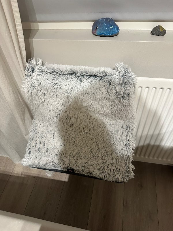 Ofn bæli fyrir gæludýr